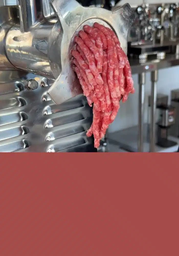 Guía Completa sobre Picadoras de Carne