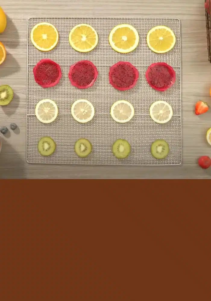 Descubrí todo lo que puedes deshidratar