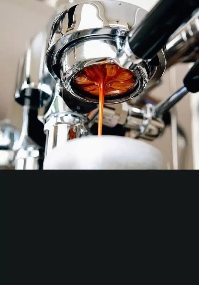 Los portafiltros clásicos, sin fondo y diseño optimizado.