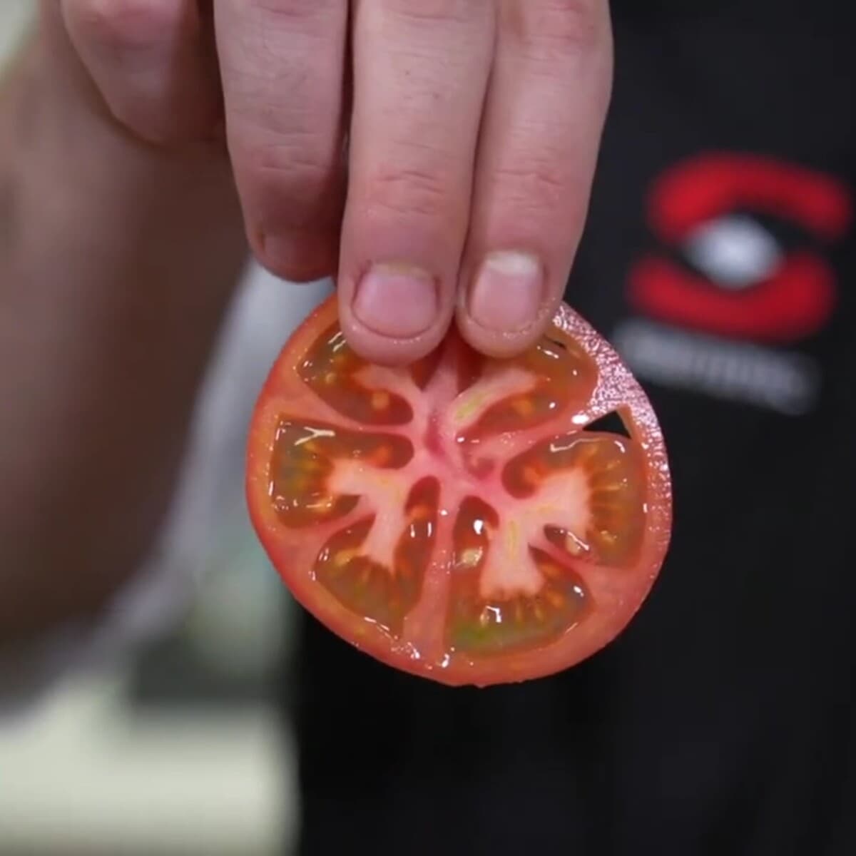 Disco de corte en rodajas blandas 5 mm para cortadora CA-31 | Sammic 1010404