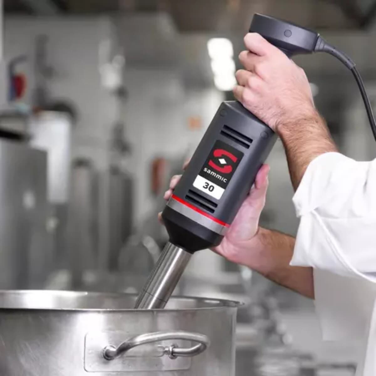 Mixer triturador profesional brazo 42 cm hasta 60 L | Sammic XM-33