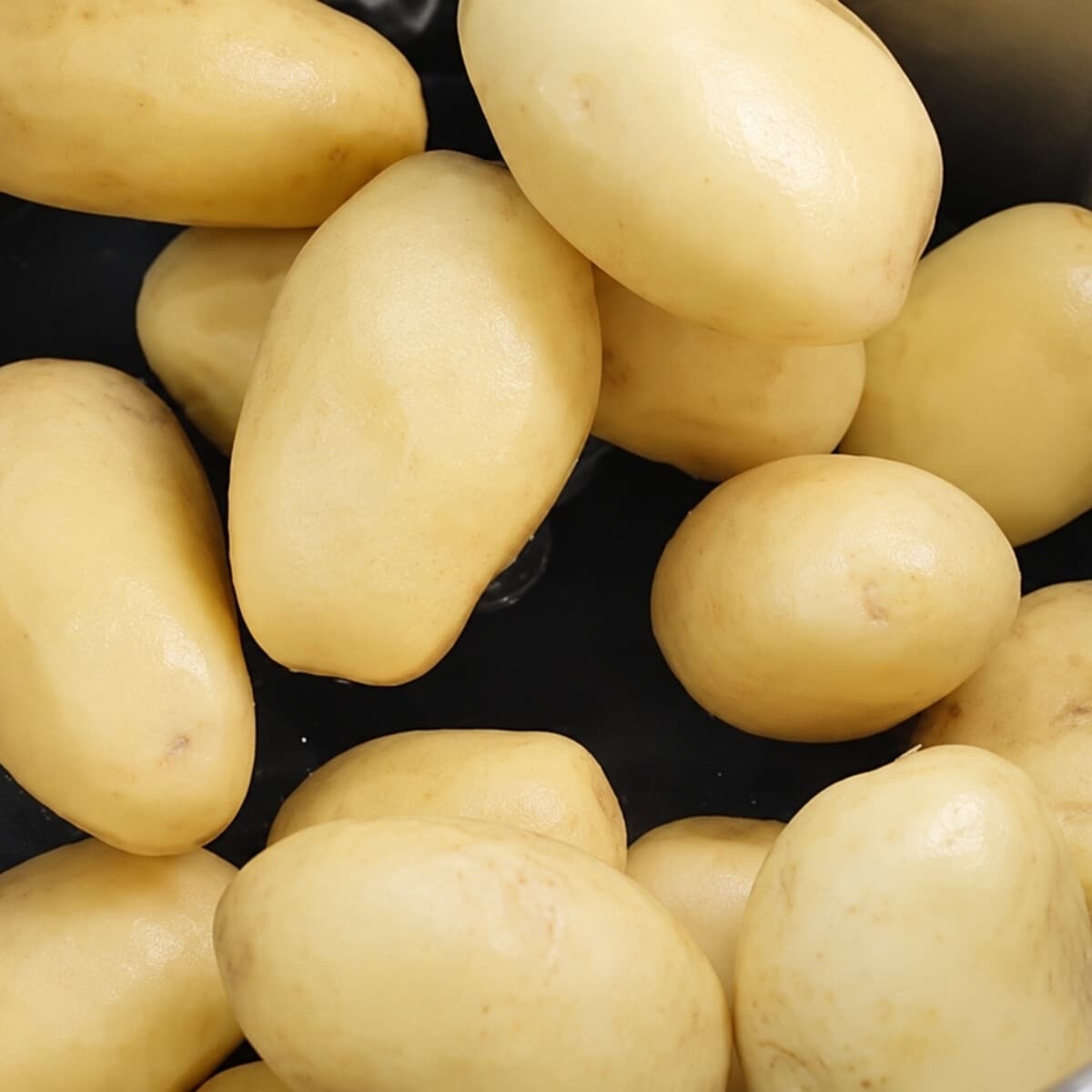 Peladora de papas eléctrica 10 kg | Skymsen DB-10