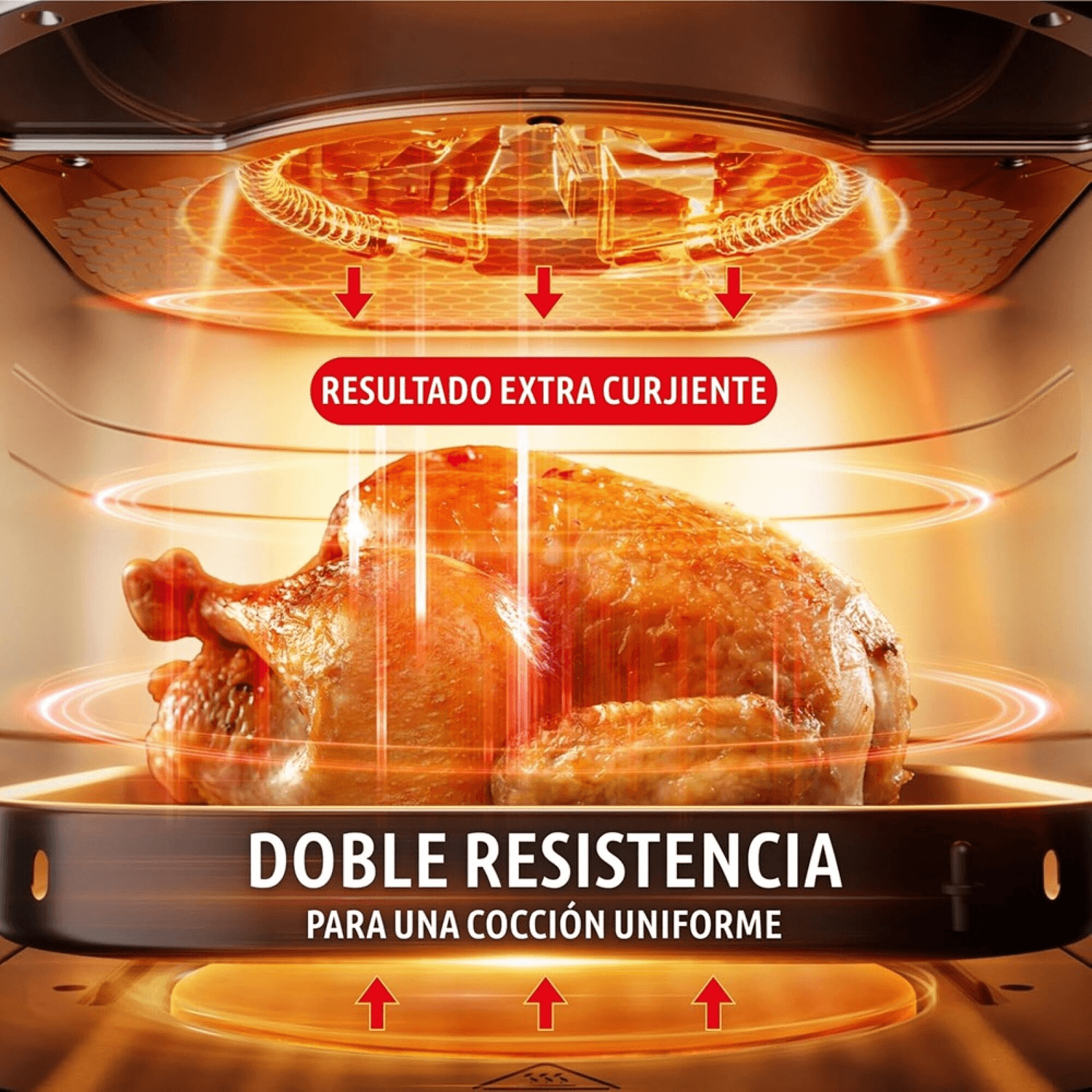 Doble resistencia de la freidora Moulinex EZ8328F0 con un pollo