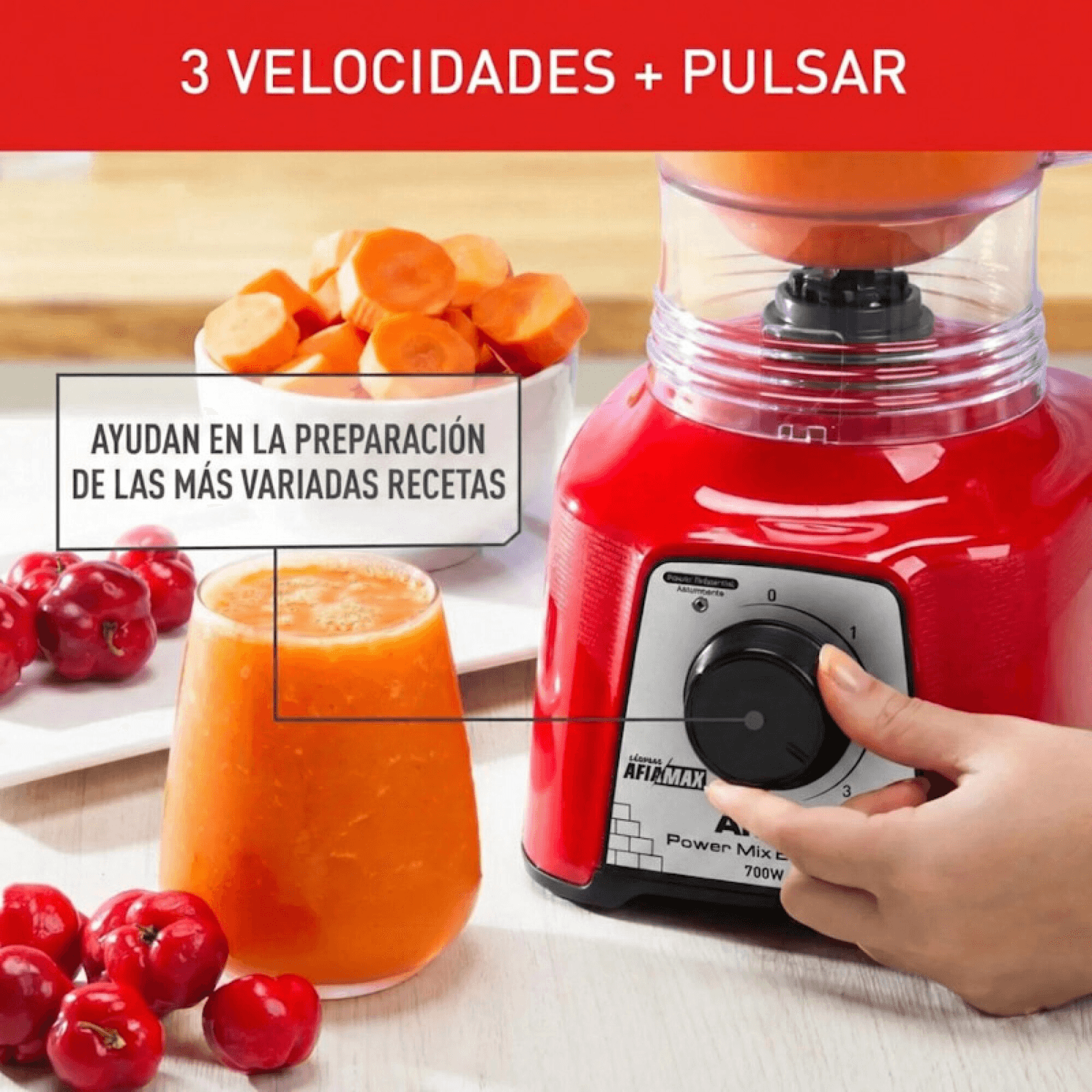Perilla de la licuadora Arno Power Max LN3115B2