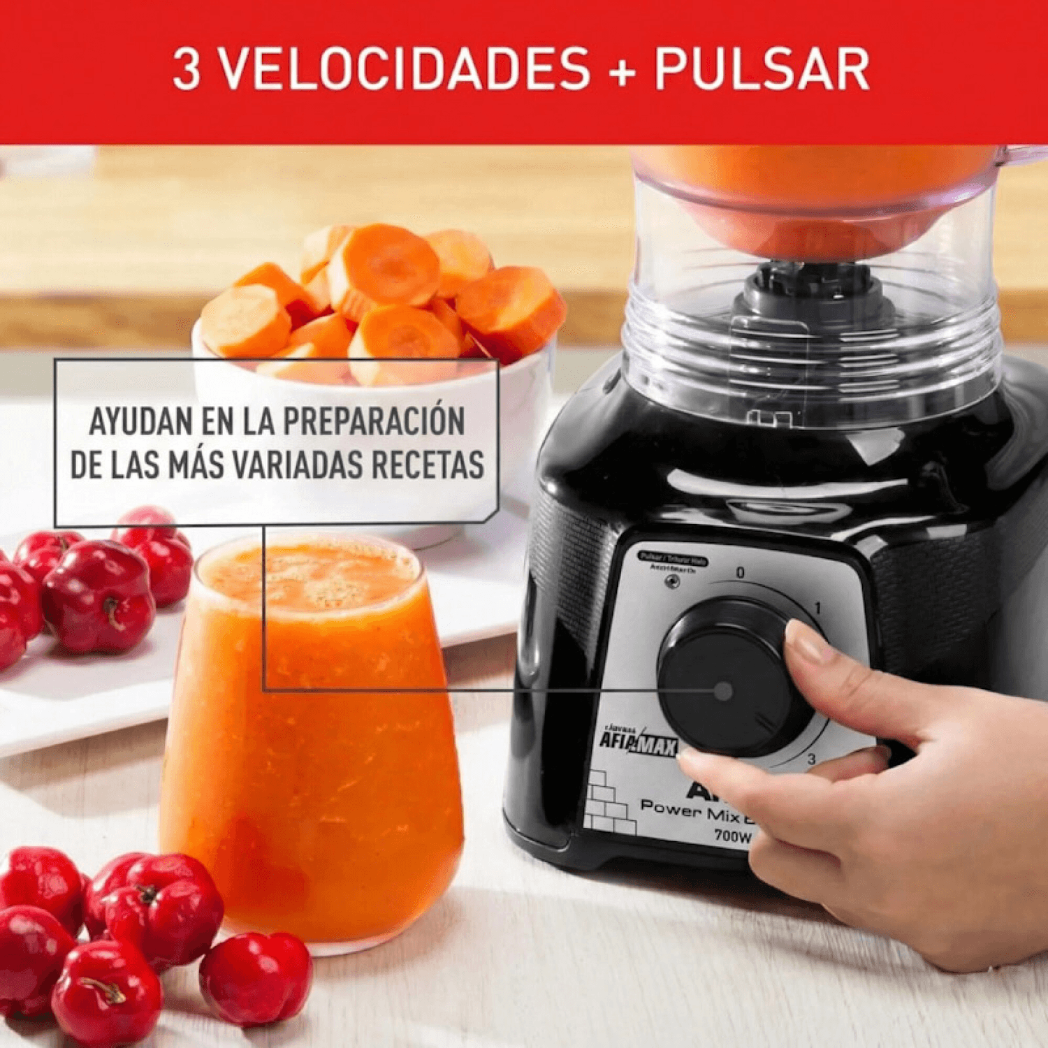 Perilla de 3 velocidades y pulsar de la licuadora Arno Power Max LN3118B2