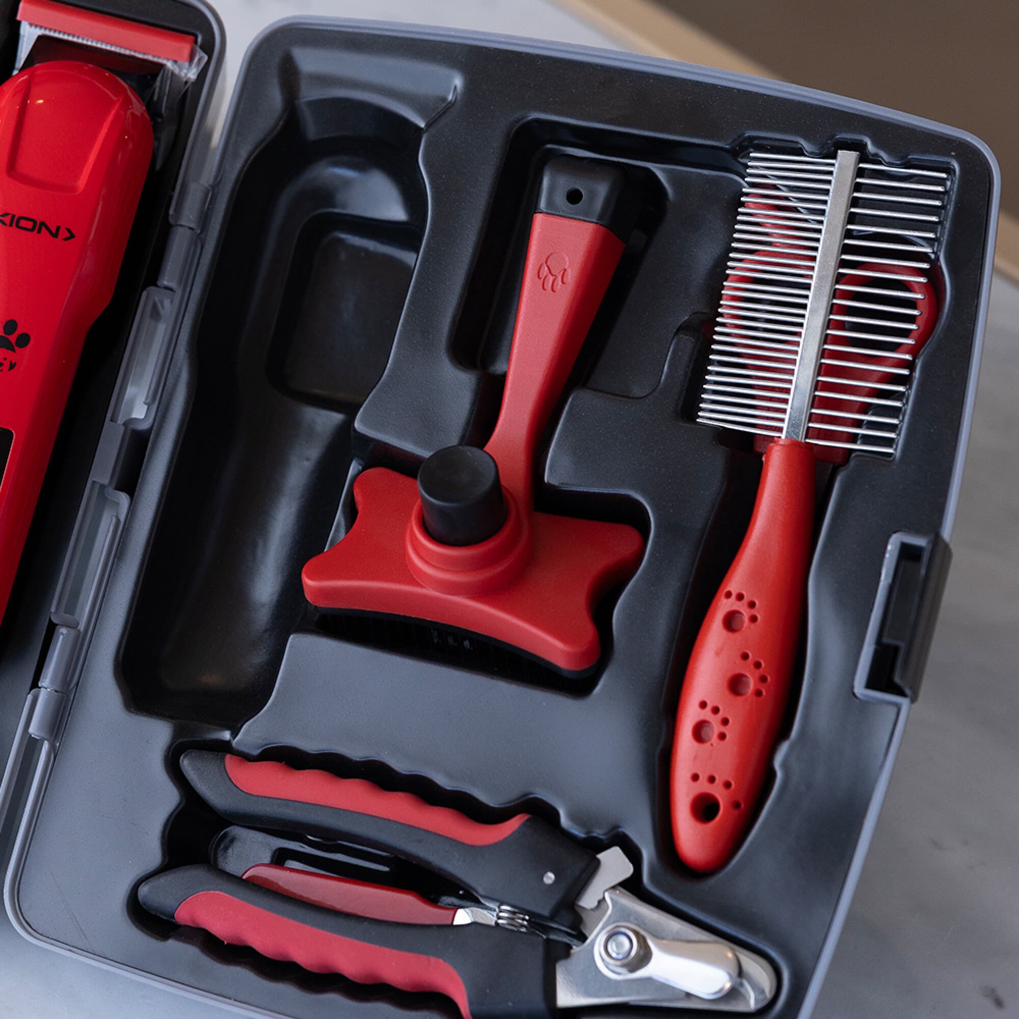 Cepillo, peine y cortauñas del kit XION XI-HAIRPETKIT