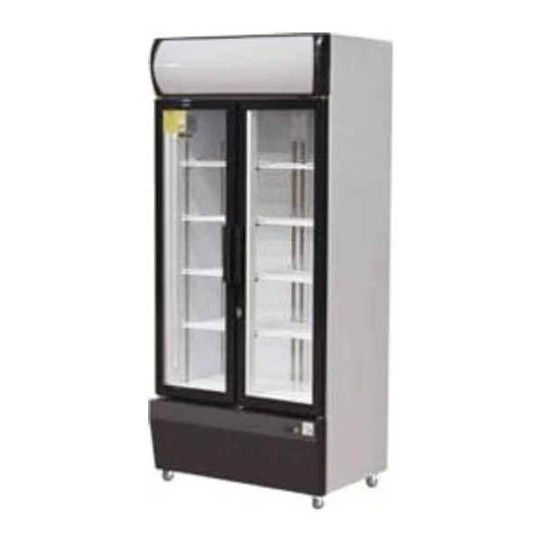 Visicooler 580 lts 2 puertas | Iccold FC-LS88AHA