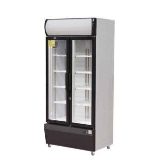 Visicooler 580 lts 2 puertas | Iccold FC-LS88AHA