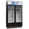 Visicooler 2 puertas 700 litros | Demet BBB-700