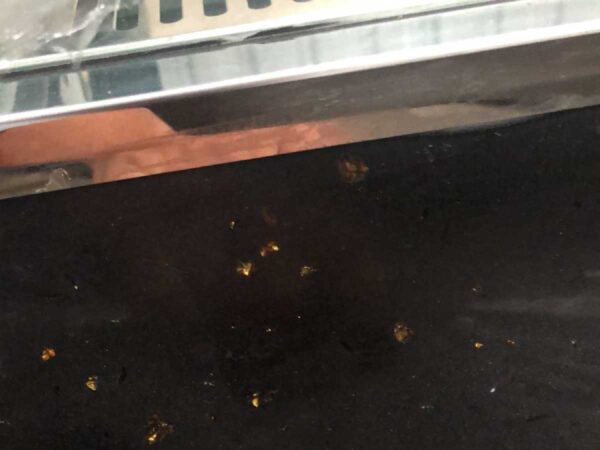 Vitrina 1,8 m Refrigerada Confitera | Kuma FC-700SA | Baudin