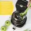 Extractor de Jugos prensado en frio Slow Juicer Kuvings REVO830 Boca