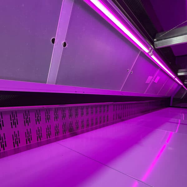 Vitrina 3,75 m Refrigerada Carnicera Vidrio Recto | Kuma DSB37CCHE | Baudin