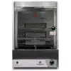 Spiedo horno rotativo de mesa multiuso a gas Progas PRP-124G Vista Frontal