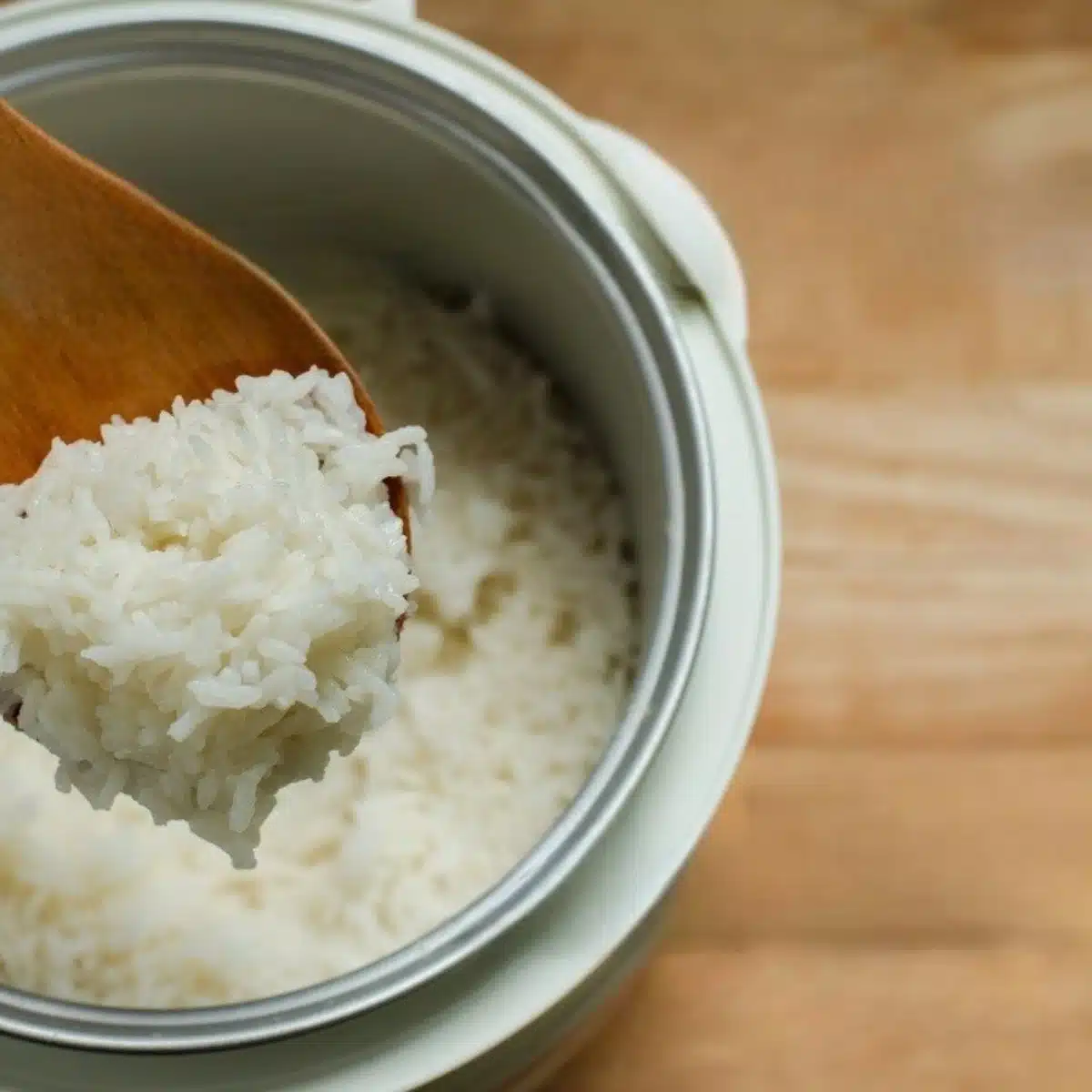 berjaya-electrico-conciandor-de-arroz.