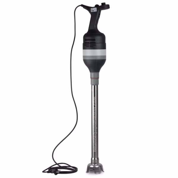 MIXER PROFESIONAL RHENINGHAUS Mistral L Vastago 45 cm 750 w principal